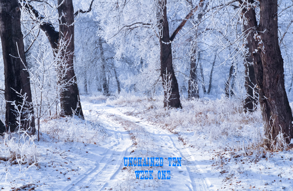 download → TheLuckyOne - Unchained Ten - Week One - 09-Jan-2015 download → TheLuckyOne - Unchained Ten - Week One - 09-Jan-2015