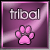 tribal tribal