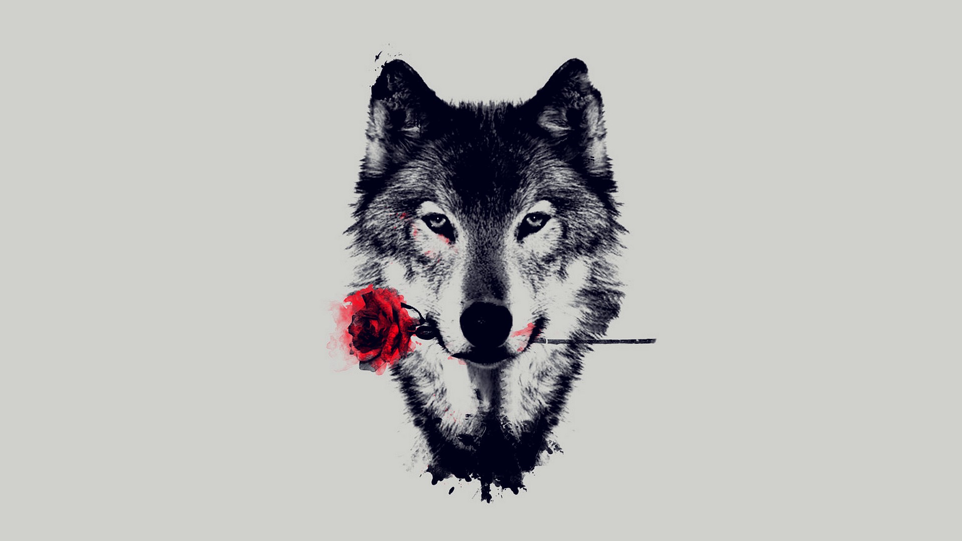 Djvou's profile picture