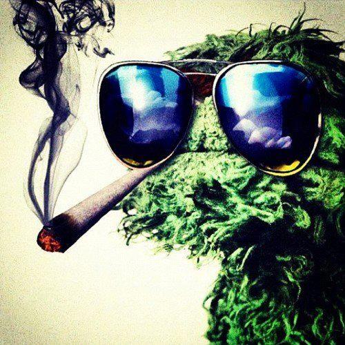 Dragoman88's profile picture